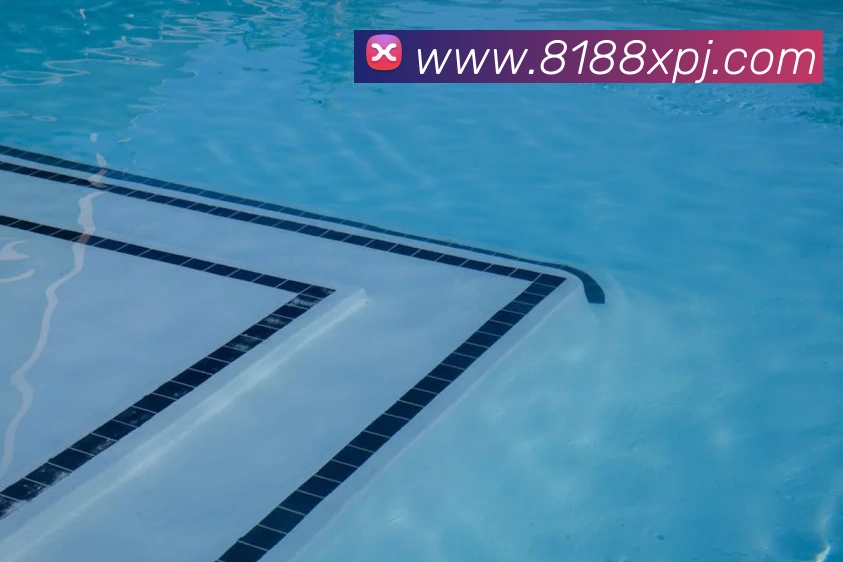 澳门新葡京官网平台生态图